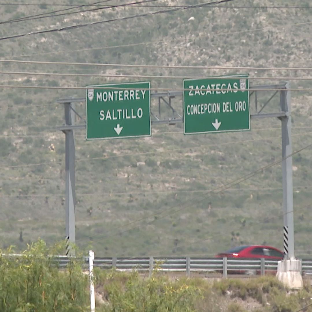 Aseguran Especies Exóticas Transportadas en Autobús en Carretera Saltillo-Zacatecas